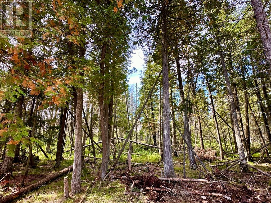 Pl4c2 Bidwell Road, Sheguiandah, Ontario  P0P 1N0 - Photo 12 - 2130393