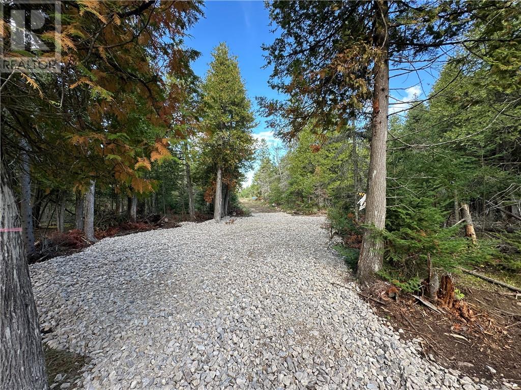 Pl4c2 Bidwell Road, Sheguiandah, Ontario  P0P 1N0 - Photo 4 - 2130393