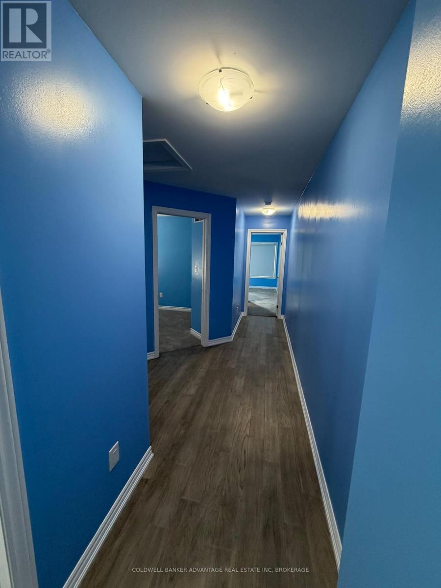 279 Louise Street, Welland, Ontario  L3B 0H8 - Photo 29 - X13794084