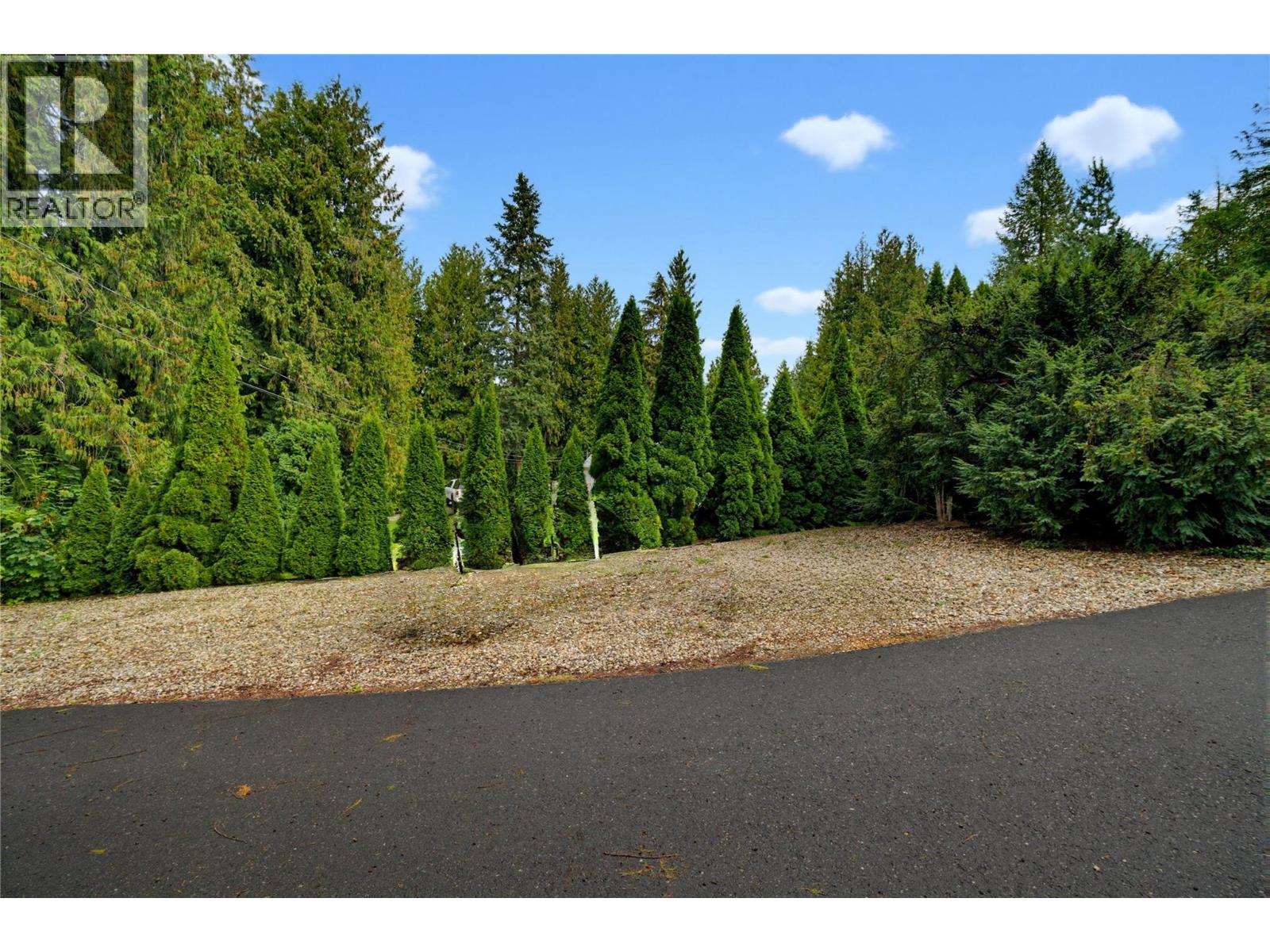 7787 97a Highway, Mara, British Columbia  V0E 2K0 - Photo 14 - 10400969