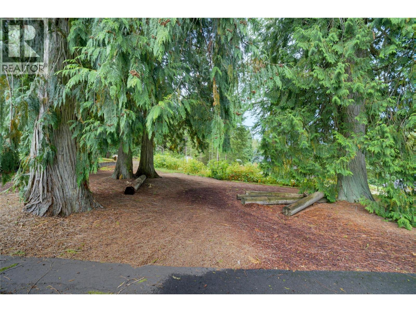 7787 97a Highway, Mara, British Columbia  V0E 2K0 - Photo 15 - 10400969