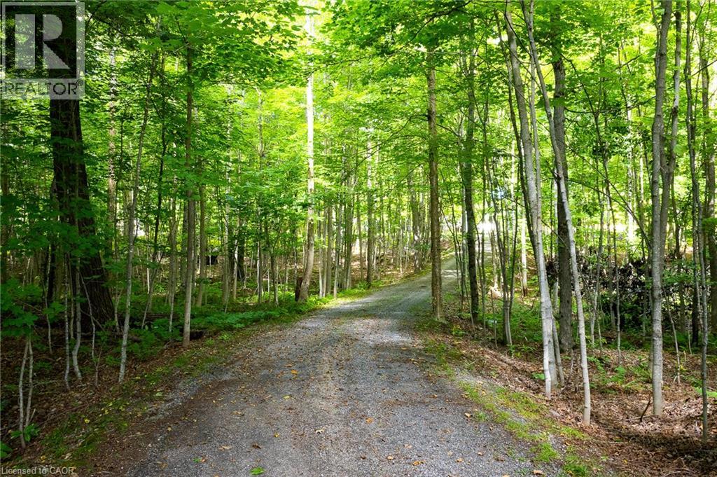 115 Tanners Lane, Magnetawan, Ontario  P0A 1P0 - Photo 2 - 40862072