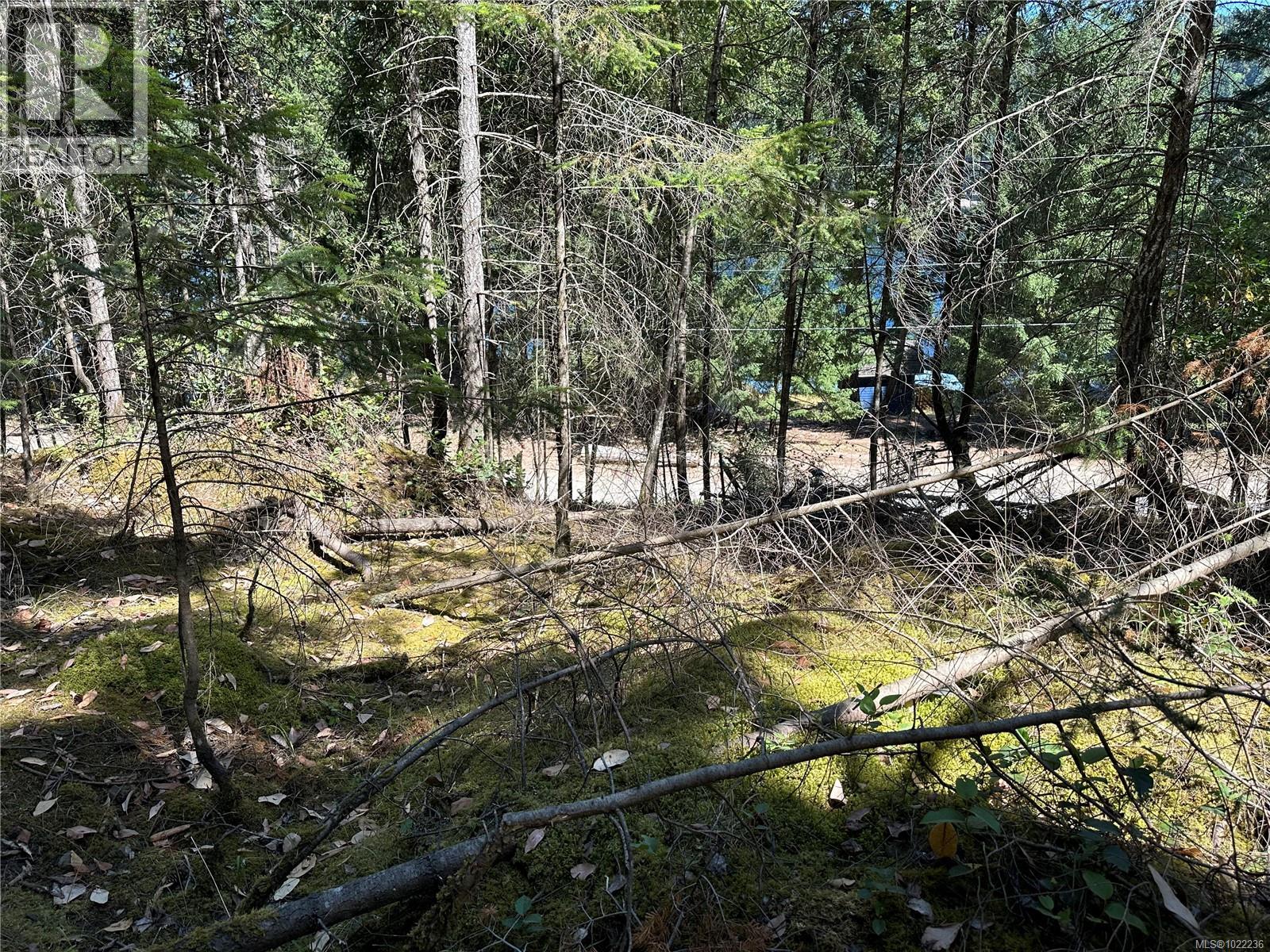 136 Coho Dr, Mudge Island, British Columbia  V0R 1X6 - Photo 4 - 1022236