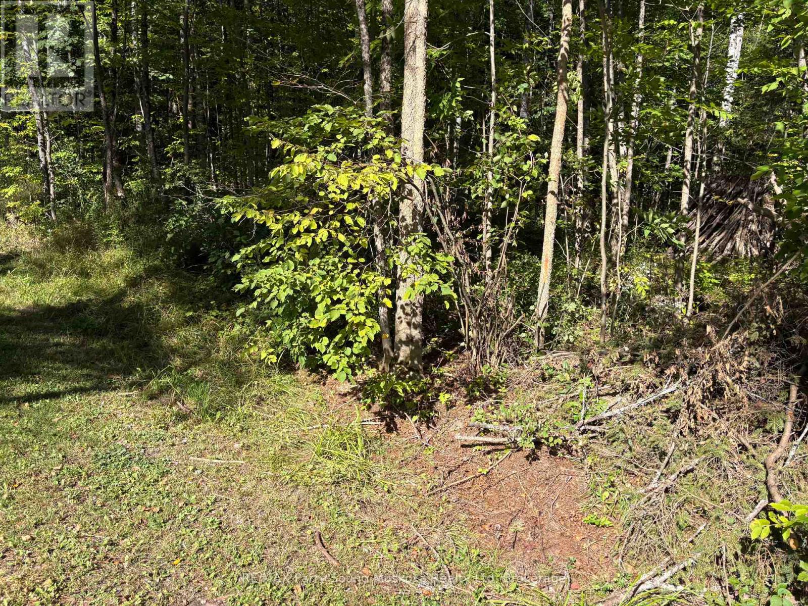 0 PINE ROAD, Magnetawan, Ontario