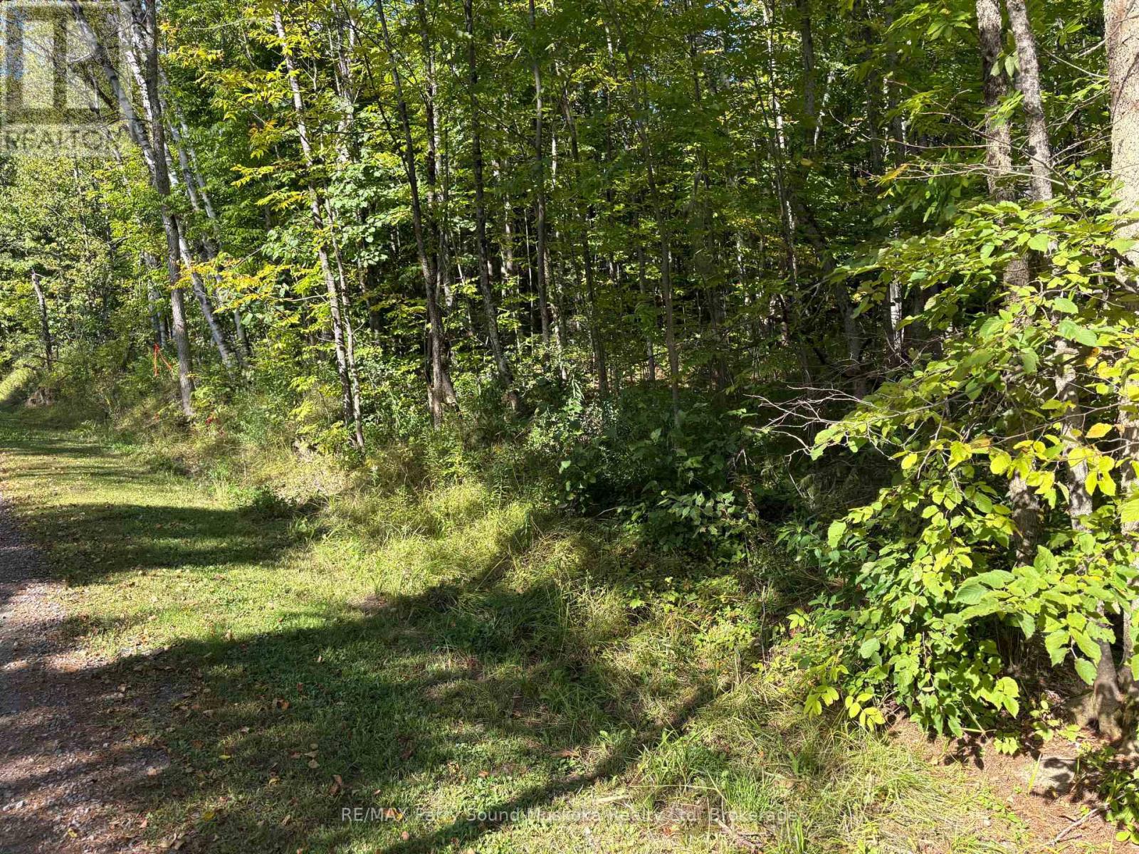 0 Pine Road, Magnetawan, Ontario  P0A 1A0 - Photo 2 - X13794604