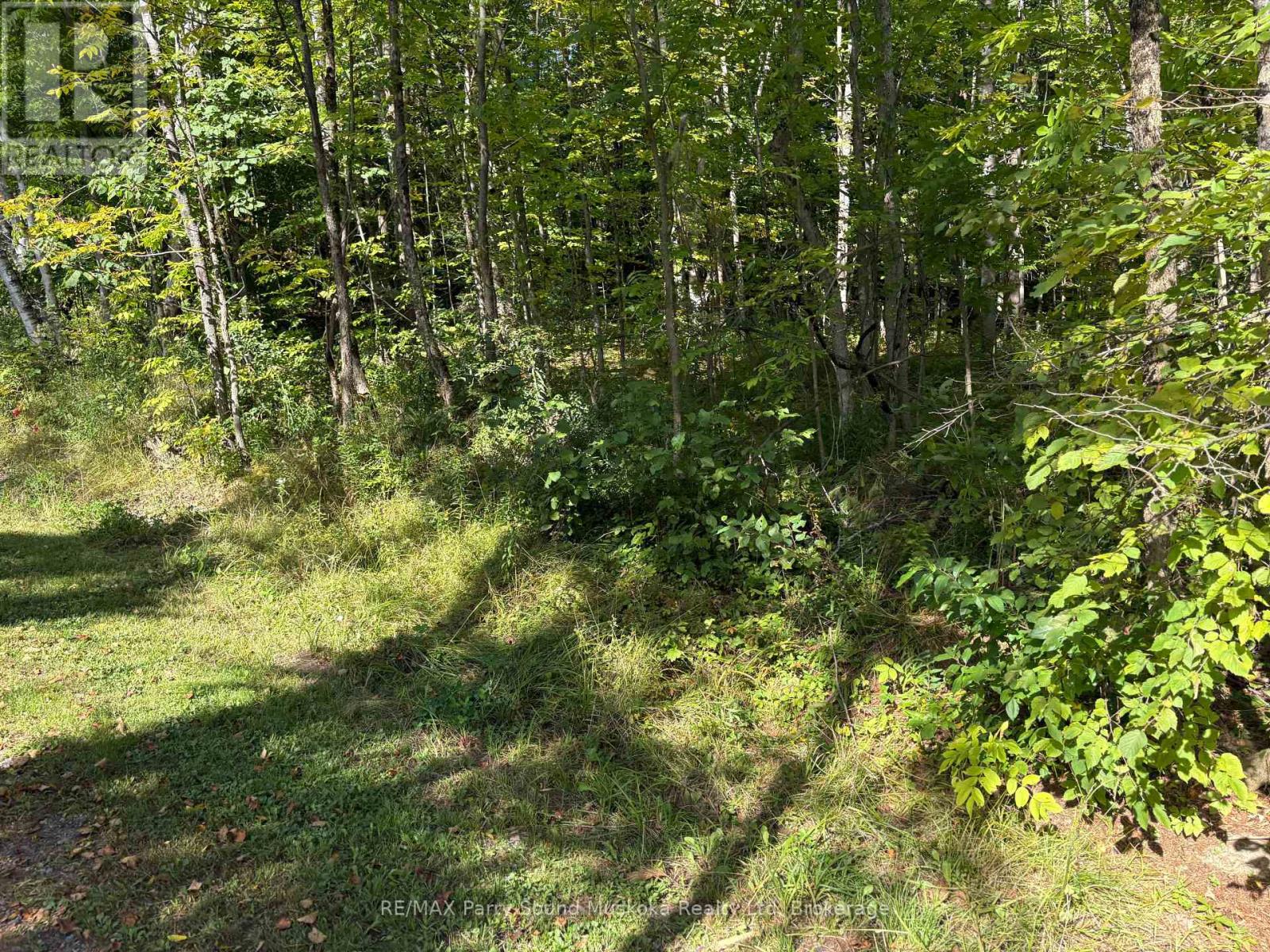 0 Pine Road, Magnetawan, Ontario  P0A 1A0 - Photo 4 - X13794604