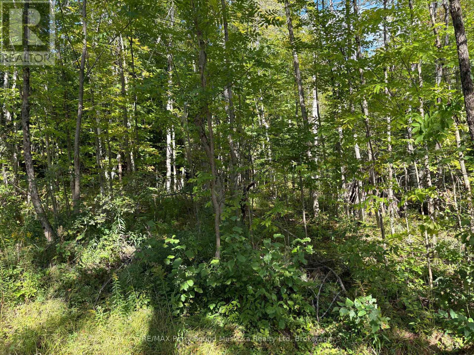 0 Pine Road, Magnetawan, Ontario  P0A 1A0 - Photo 6 - X13794604