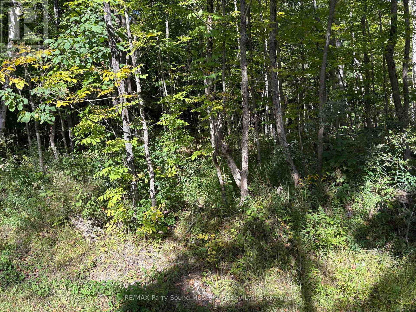 0 Pine Road, Magnetawan, Ontario  P0A 1A0 - Photo 7 - X13794604