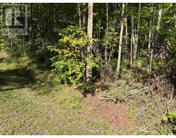 0 PINE ROAD, Magnetawan, Ontario