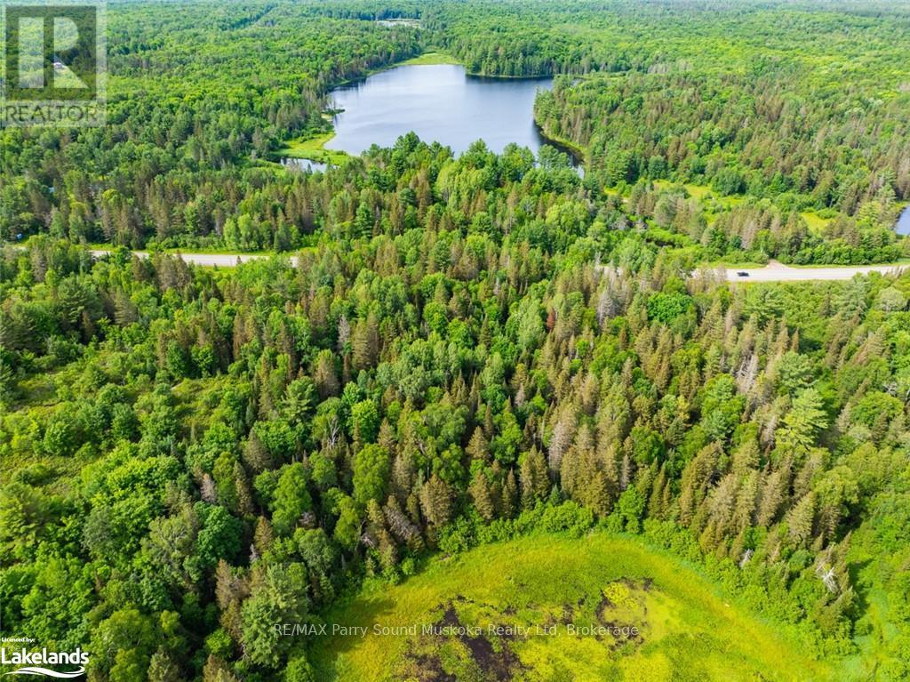 7281 Highway 124, Magnetawan, Ontario  P0G 1G0 - Photo 2 - X13794772