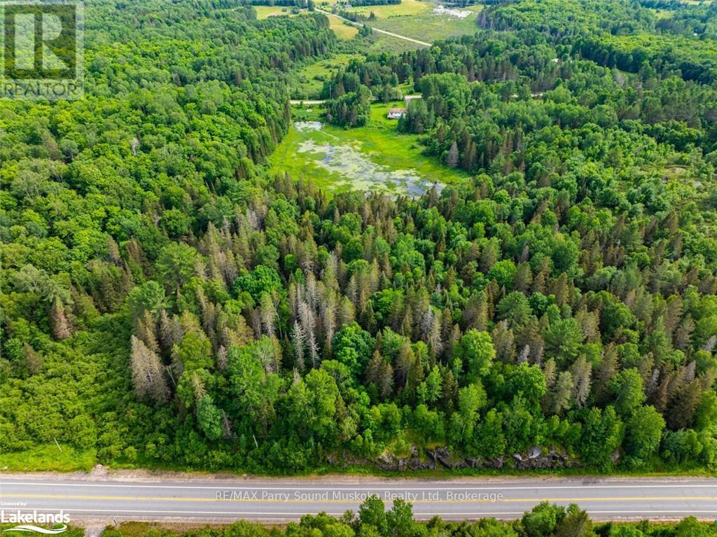 7281 Highway 124, Magnetawan, Ontario  P0G 1G0 - Photo 9 - X13794772