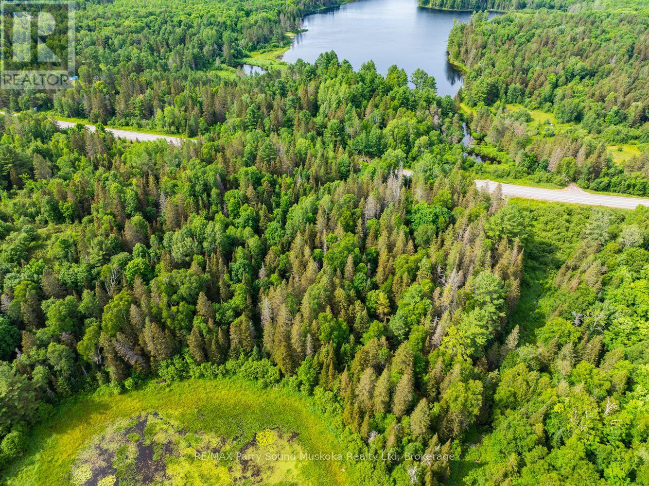 7281b Highway 124, Magnetawan, Ontario  P0G 1G0 - Photo 3 - X13794774