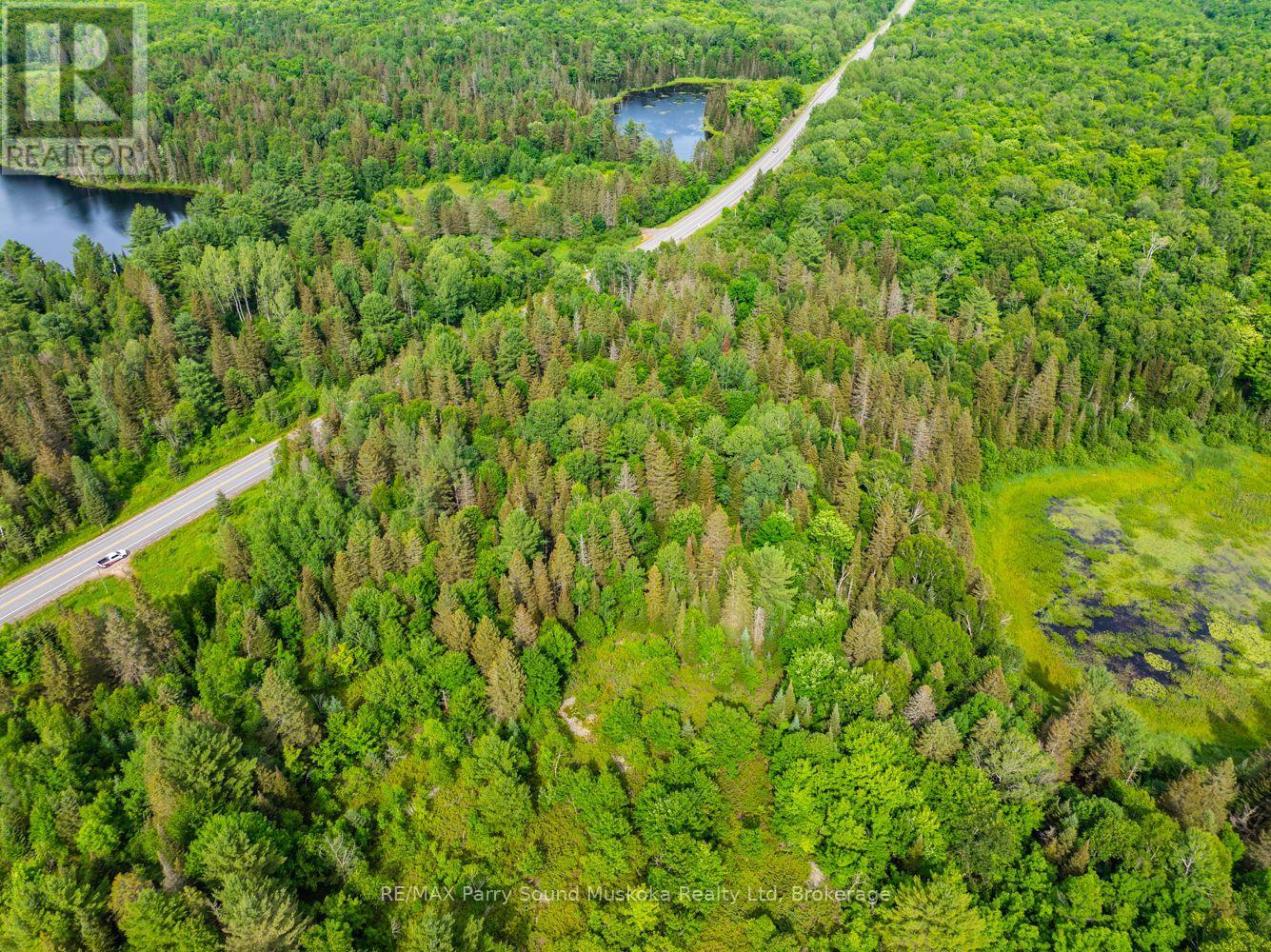7281b Highway 124, Magnetawan, Ontario  P0G 1G0 - Photo 5 - X13794774