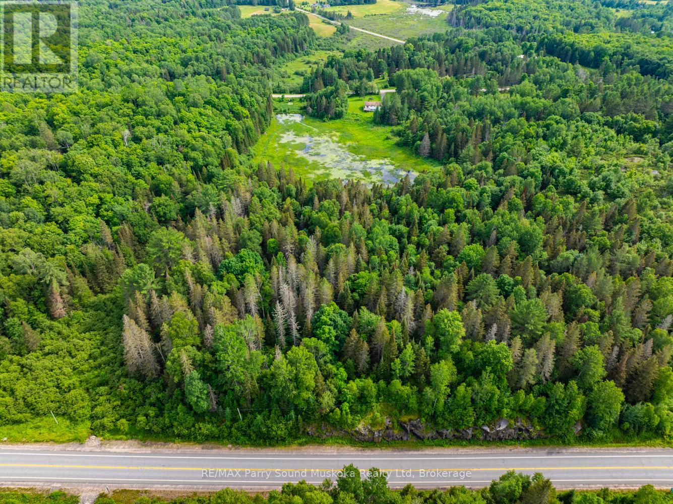 7281b Highway 124, Magnetawan, Ontario  P0G 1G0 - Photo 9 - X13794774