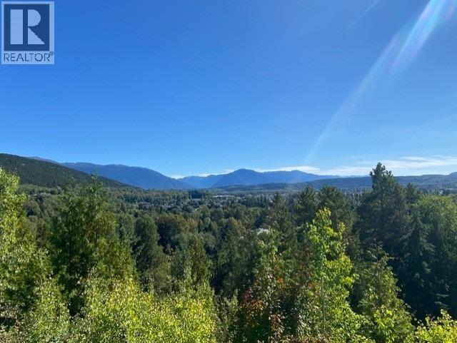 4003 Benner Street, Terrace, British Columbia  V8G 3B1 - Photo 5 - R3166245