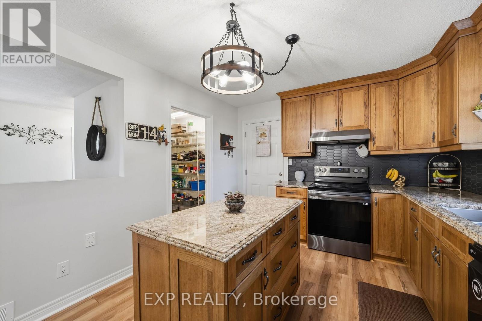25574 Nairn Road, Middlesex Centre, Ontario  N0M 1P0 - Photo 9 - X13795132