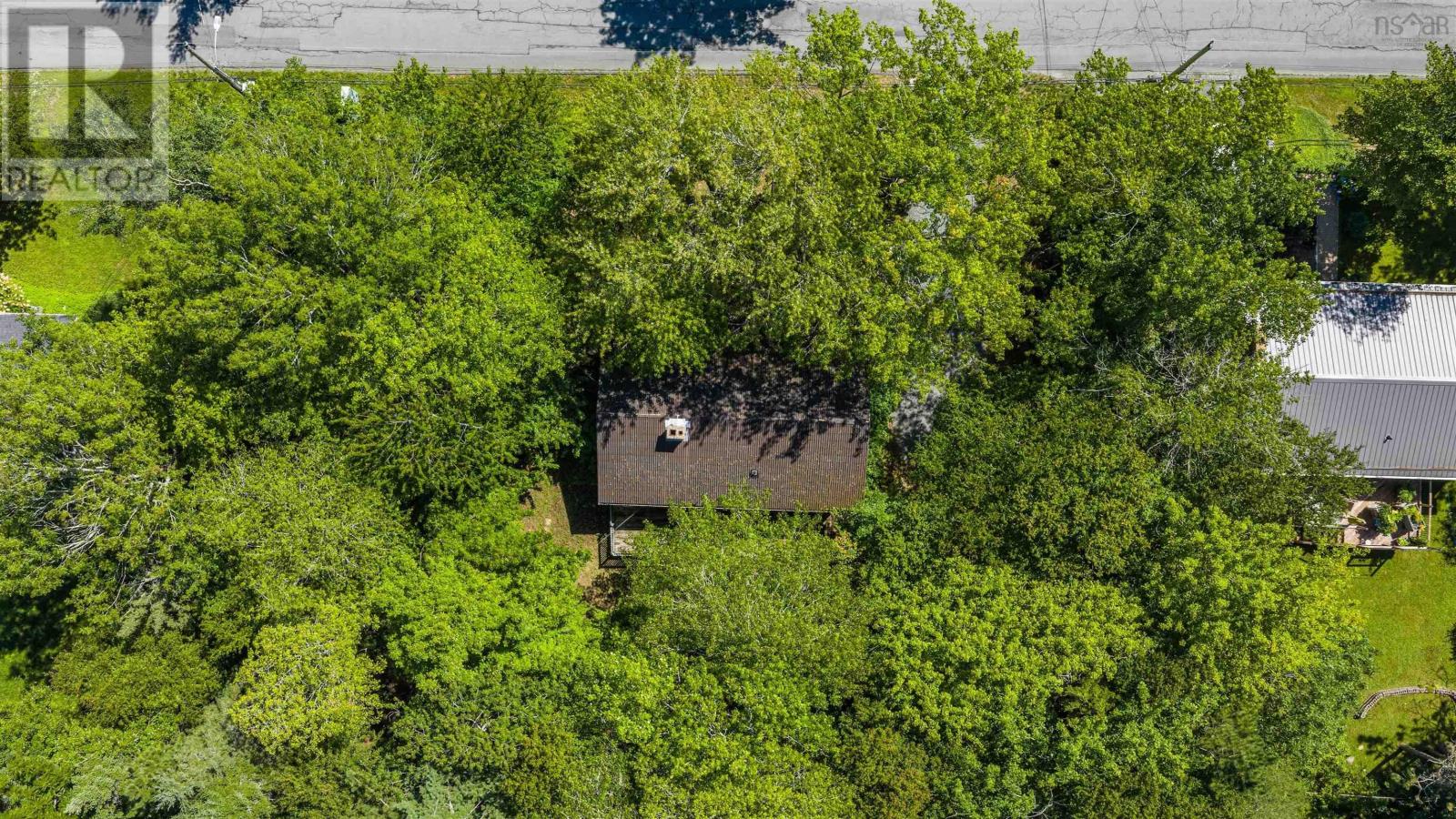 51 Pinehill Drive photo 34