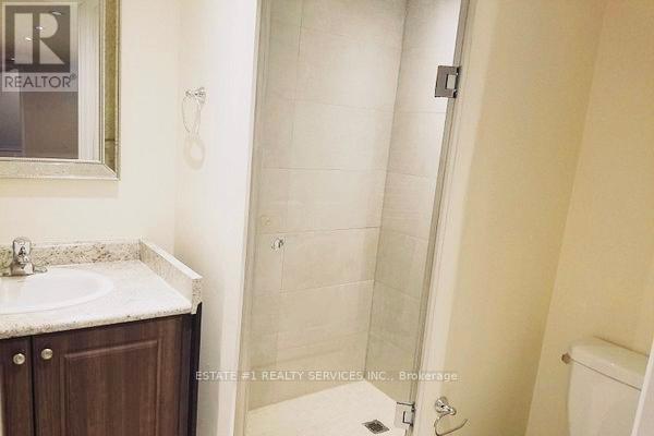 (Bsmt) - 12 Locarno Street, Brampton, Ontario  L6R 3T8 - Photo 11 - W13795078