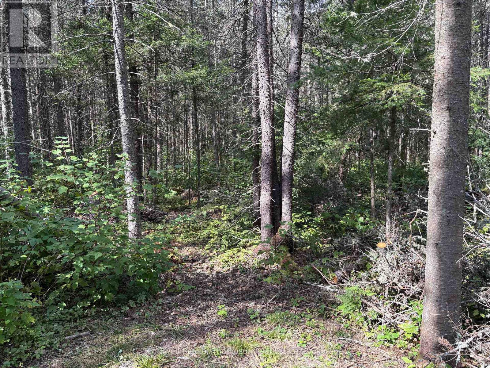 215b Paisley Road, Joly, Ontario  P0A 1Z0 - Photo 21 - X13795186