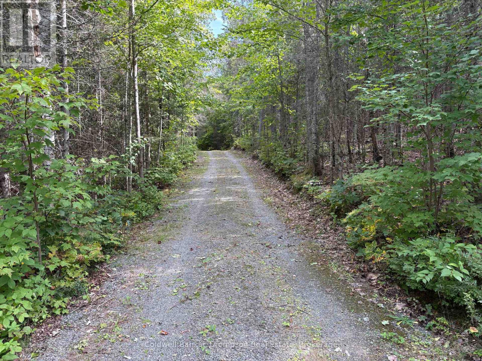 215b Paisley Road, Joly, Ontario  P0A 1Z0 - Photo 23 - X13795186