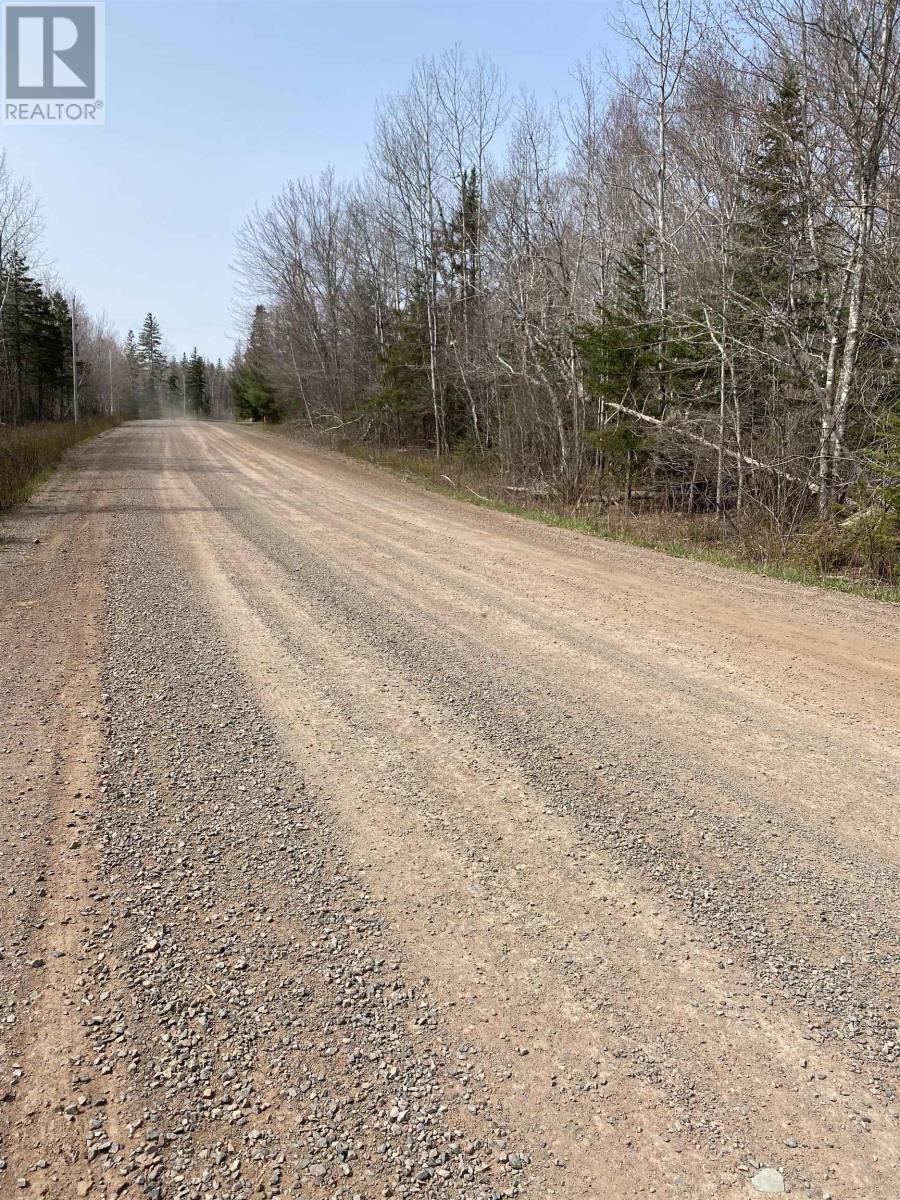 Hunter Road, Lower Wentworth, Nova Scotia B0M 1Z0 - Photo 4 - 202304923