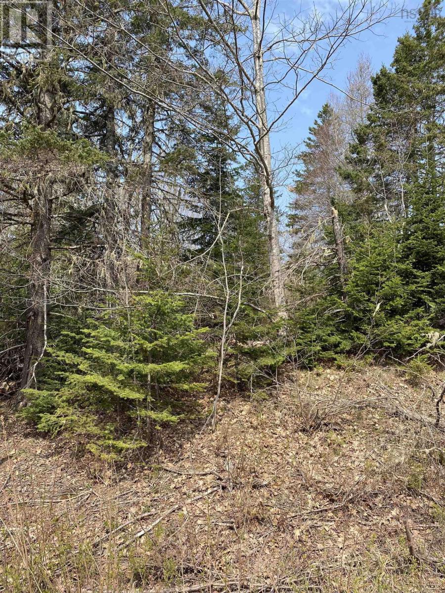 Hunter Road, Lower Wentworth, Nova Scotia B0M 1Z0 - Photo 3 - 202304923