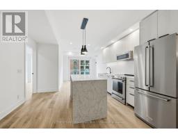 E0707 - 30 MUTUAL STREET, Toronto, Ontario