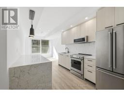 E1003 - 30 MUTUAL STREET, Toronto, Ontario