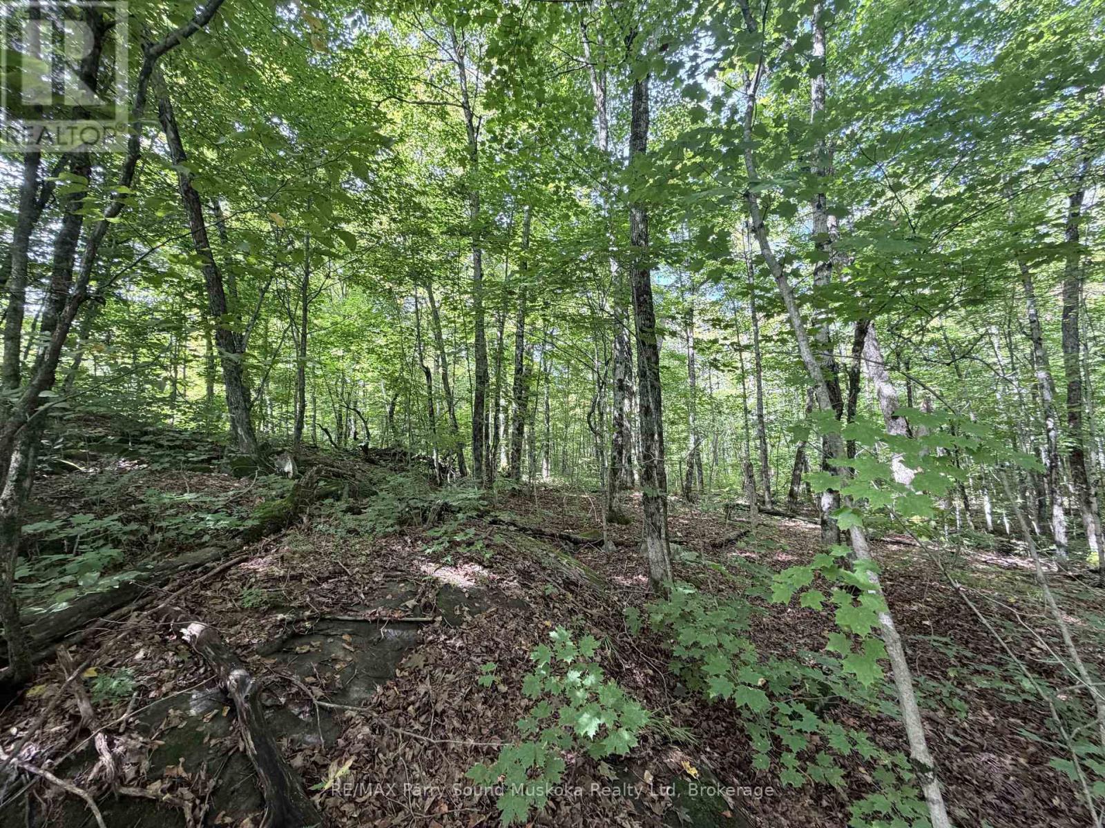 0-150 Tait's Island Road, Mckellar, Ontario  P2A 0B4 - Photo 11 - X13795380