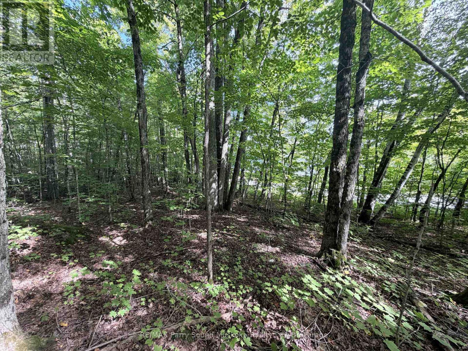 0-150 Tait's Island Road, Mckellar, Ontario  P2A 0B4 - Photo 12 - X13795380