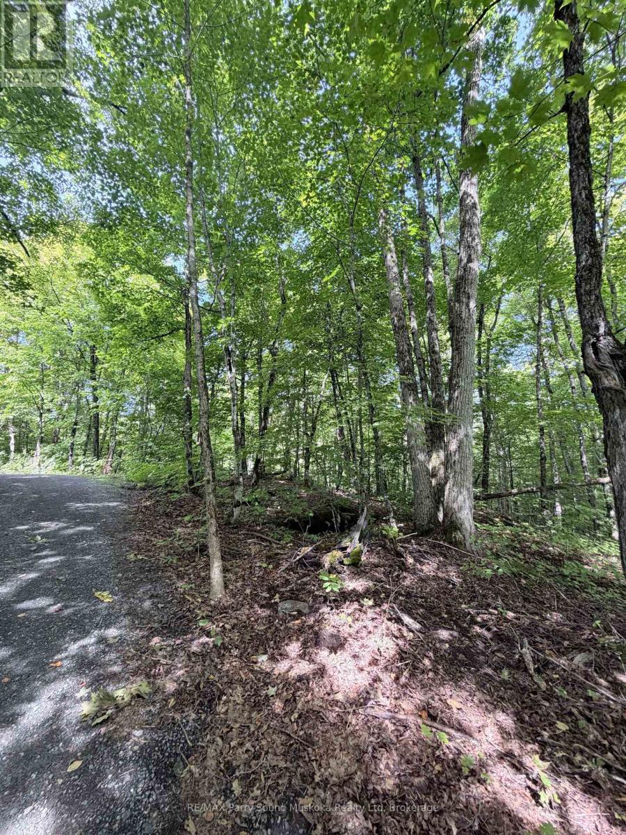 0-150 Tait's Island Road, Mckellar, Ontario  P2A 0B4 - Photo 13 - X13795380