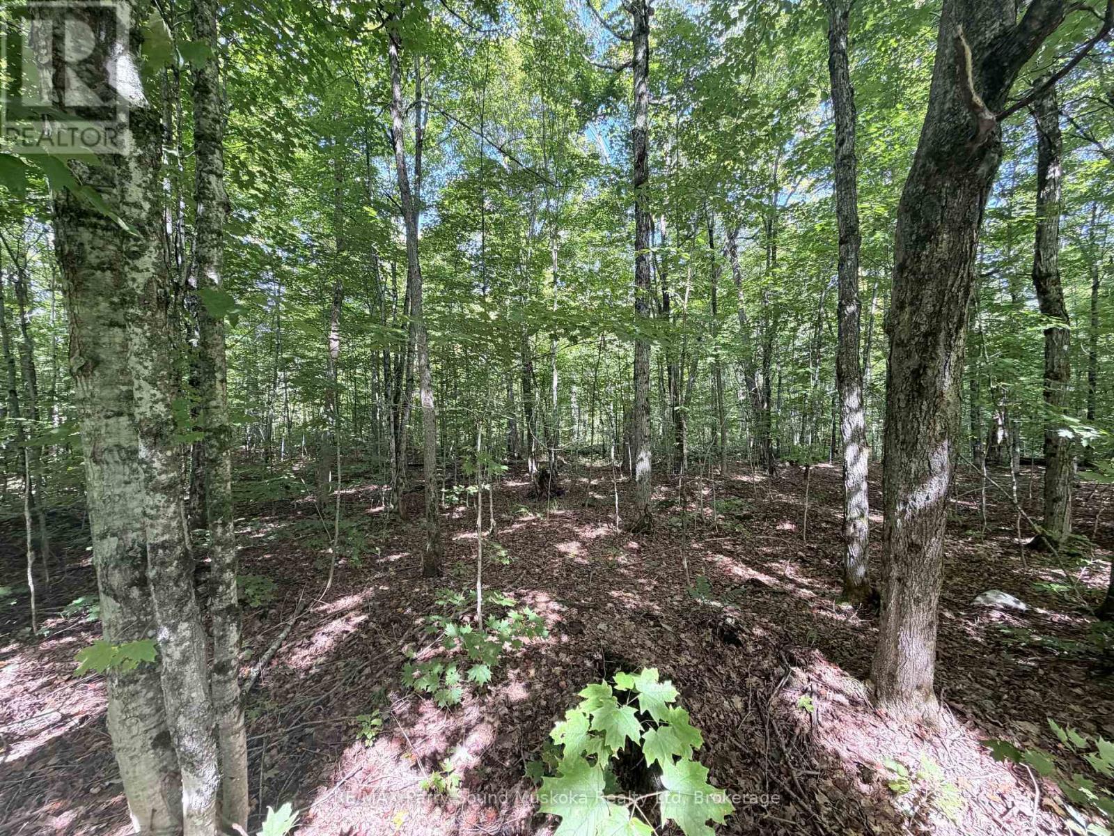 0-150 Tait's Island Road, Mckellar, Ontario  P2A 0B4 - Photo 14 - X13795380