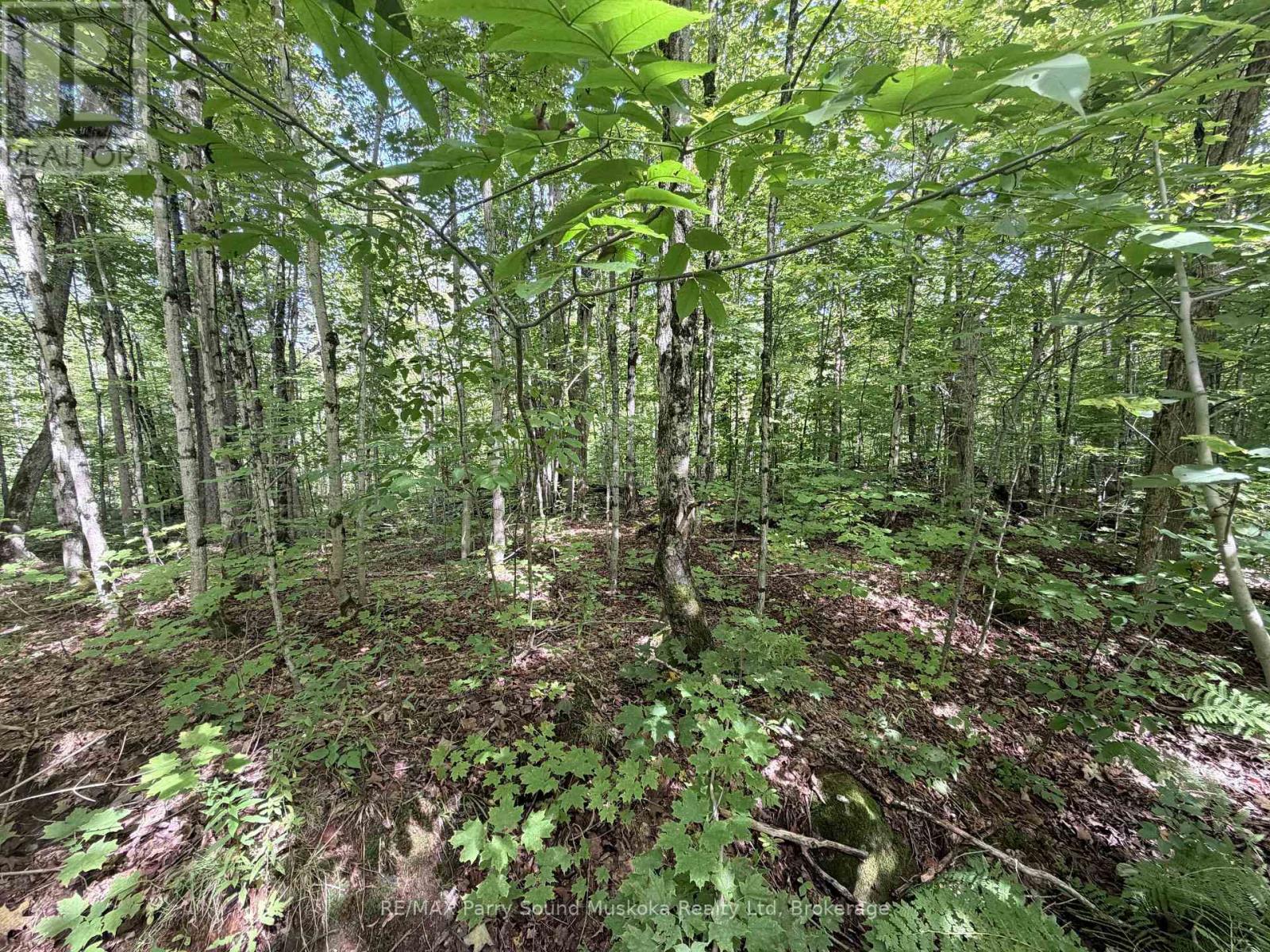 0-150 Tait's Island Road, Mckellar, Ontario  P2A 0B4 - Photo 15 - X13795380
