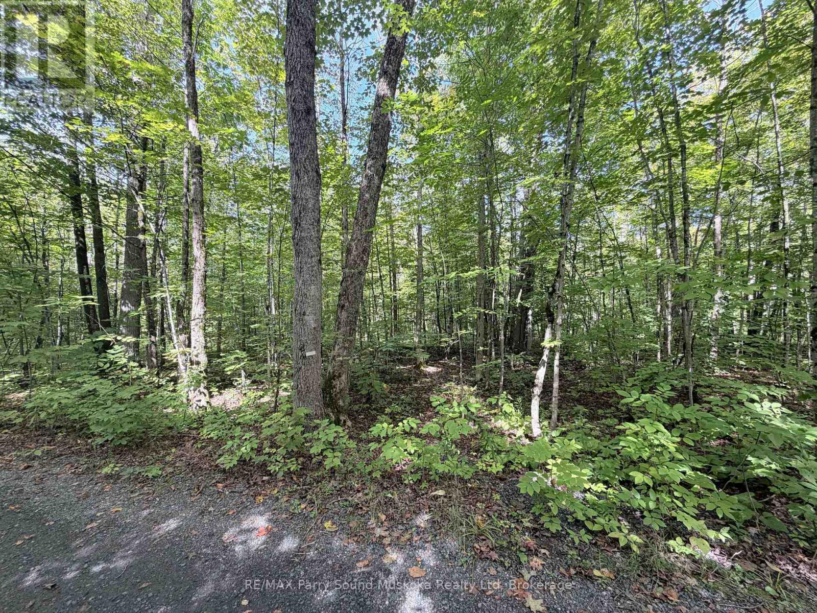 0-150 Tait's Island Road, Mckellar, Ontario  P2A 0B4 - Photo 16 - X13795380