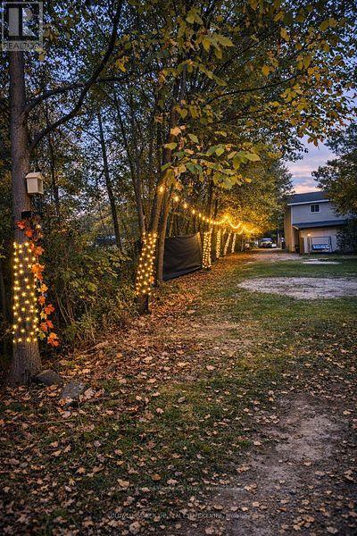 8352 Main Lisle Street, Adjala-Tosorontio, Ontario  L0M 1M0 - Photo 49 - N13795436