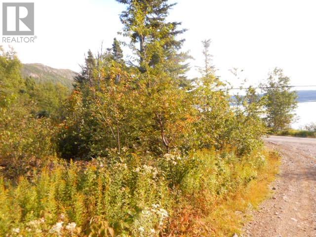 00 Route 391-10, Rattling Brook — photo 2