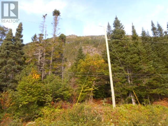 00 Route 391-10, Rattling Brook — photo 3