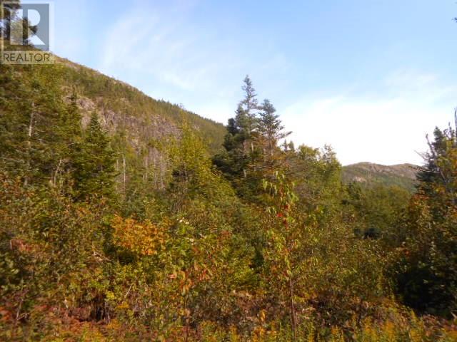 00 Route 391-10, Rattling Brook — photo 5