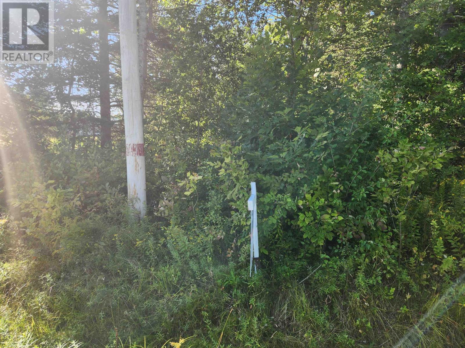 8 Acres Cedar Road|Church Hill, maitland, Nova Scotia