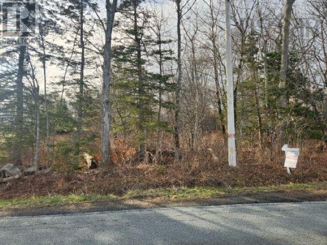 8 Acres Cedar Road, Church Hill, Maitland, Nova Scotia  B0N 1T0 - Photo 12 - 202602135