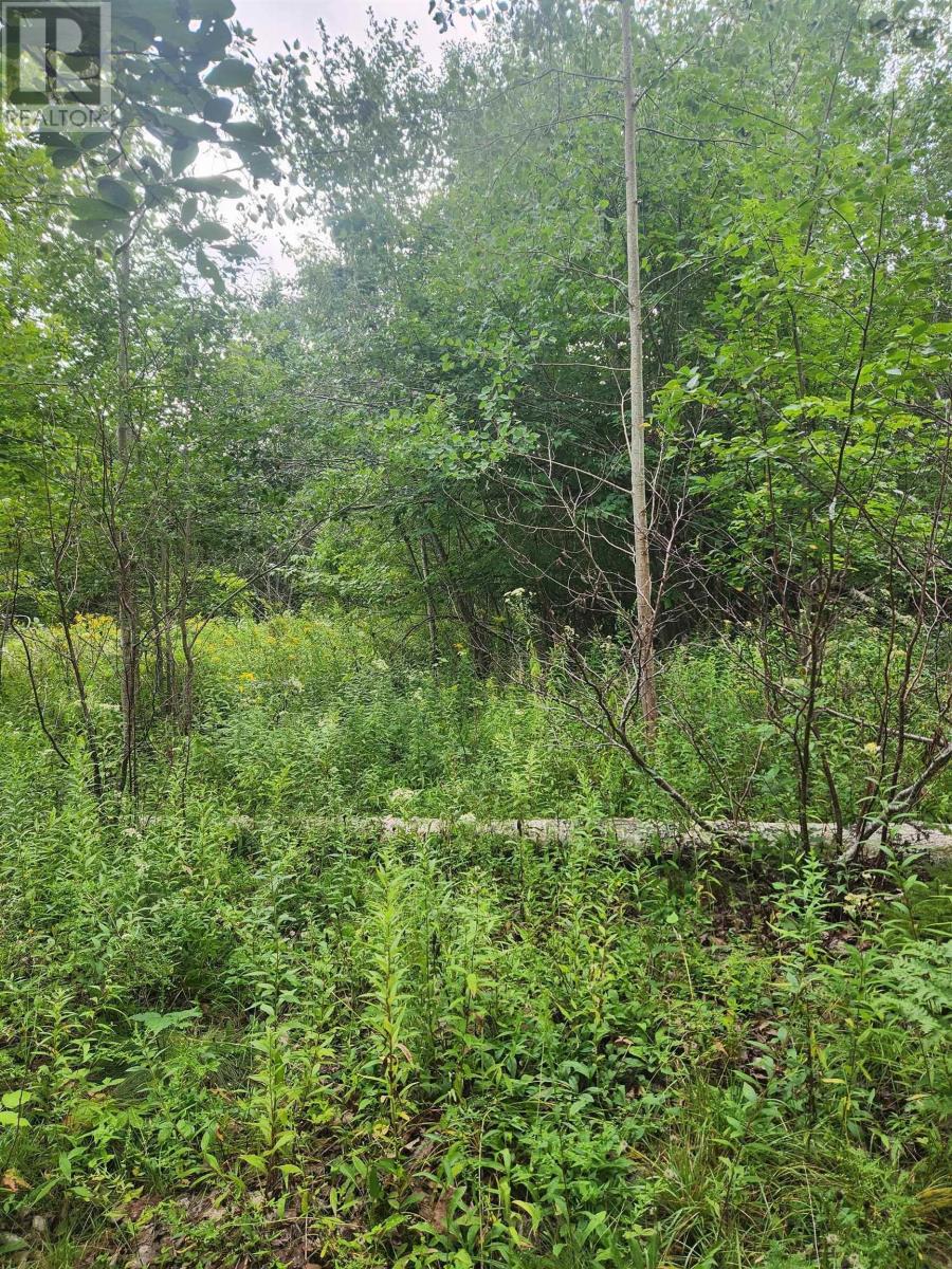 8 Acres Cedar Road, Church Hill, Maitland, Nova Scotia  B0N 1T0 - Photo 6 - 202602135