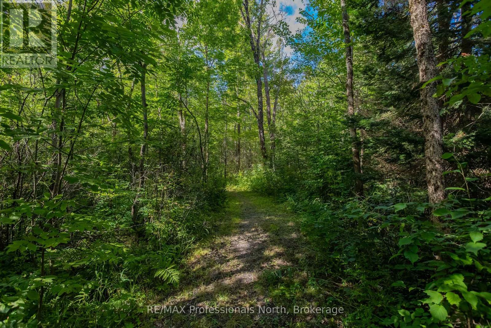 1547 North Pickerel Lake Road, Armour, Ontario  P0A 1C0 - Photo 17 - X13743148