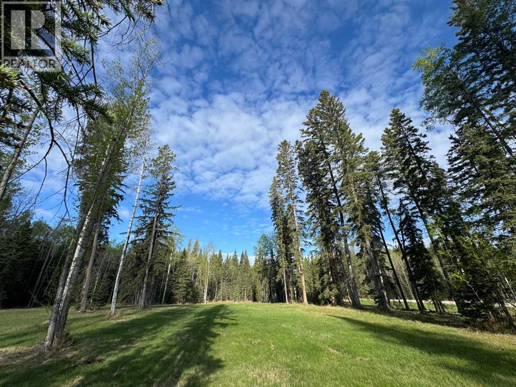 153 Meadow Ponds Drive, Rural Clearwater County, Alberta  T4T 1A7 - Photo 5 - A2302910