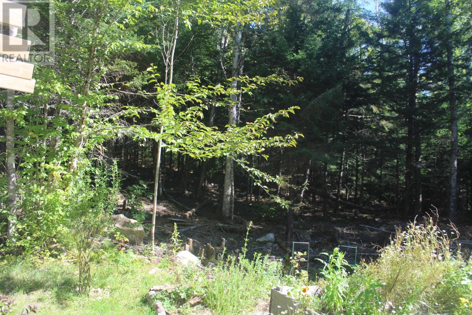 picture 35