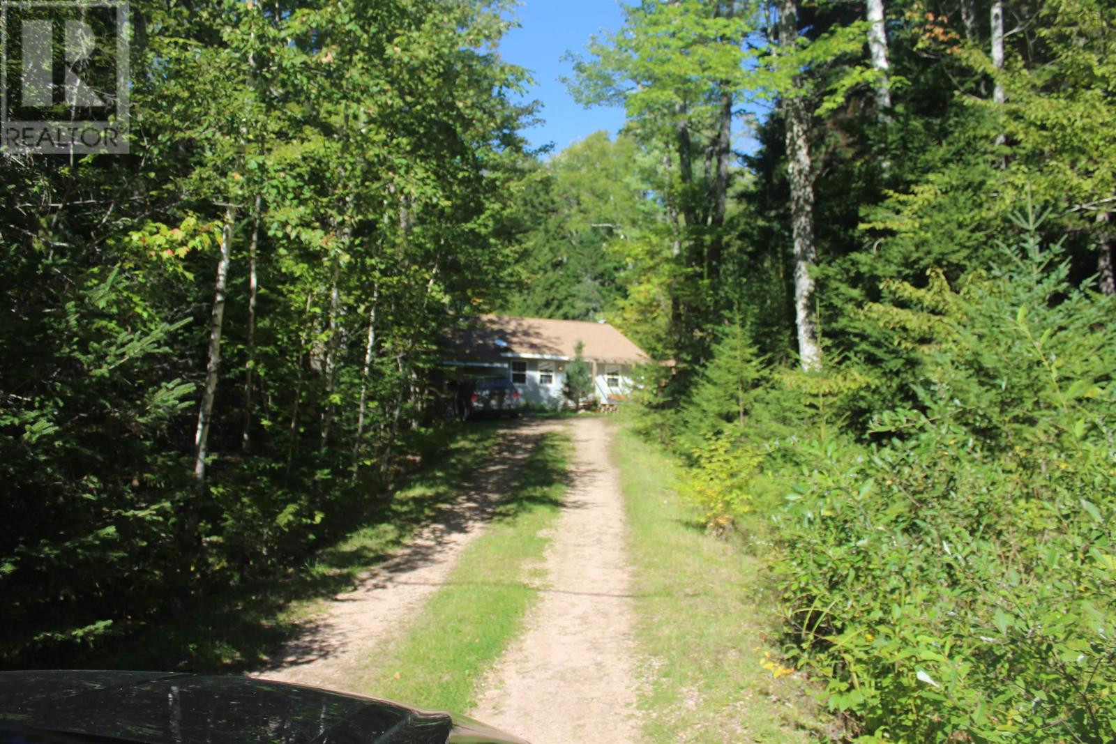 picture 38