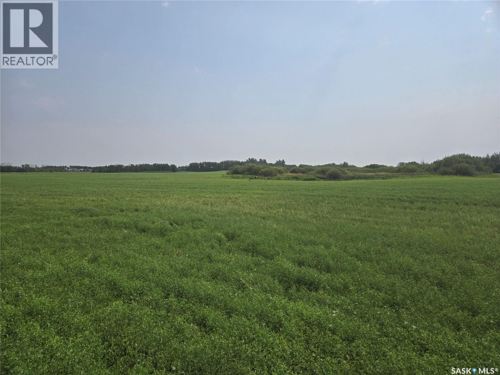 Robert’s Farm, Cana Rm No. 214, Saskatchewan  S3N 2W7 - Photo 54 - SK048729