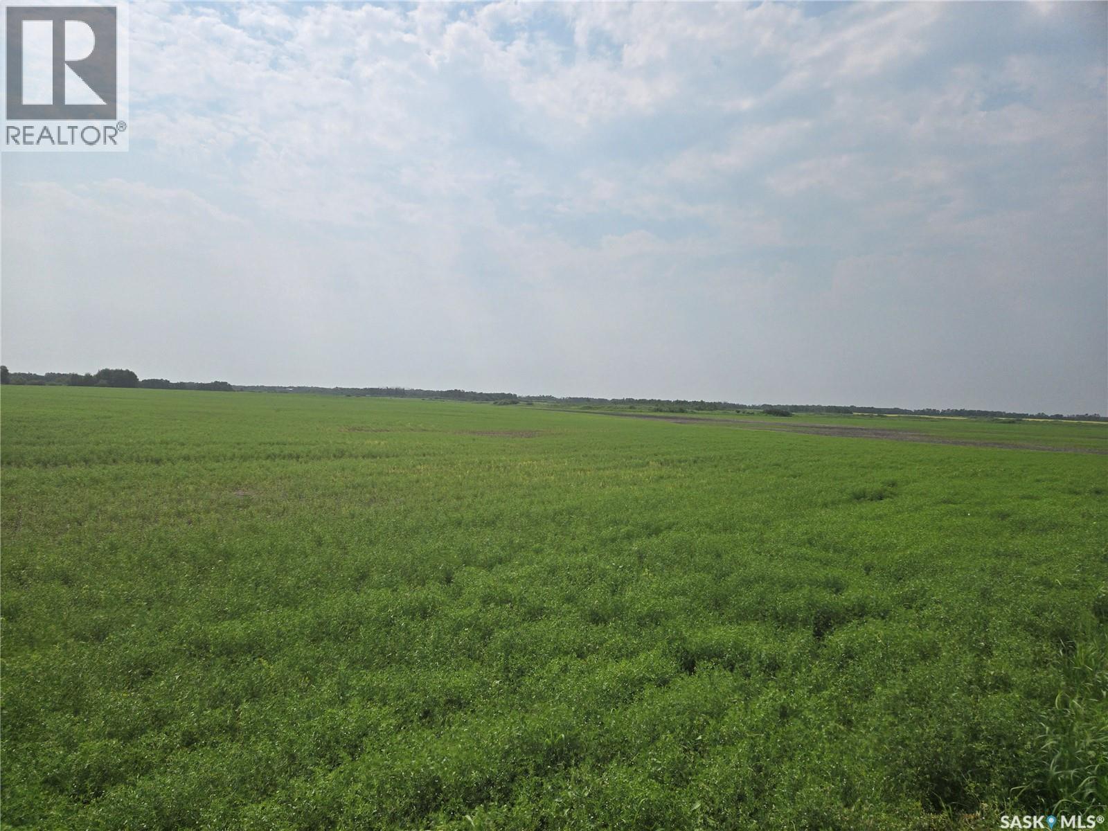 Robert’s Farm, Cana Rm No. 214, Saskatchewan  S3N 2W7 - Photo 55 - SK048729