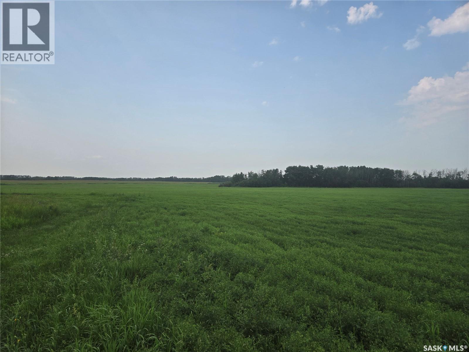 Robert’s Farm, Cana Rm No. 214, Saskatchewan  S3N 2W7 - Photo 58 - SK048729