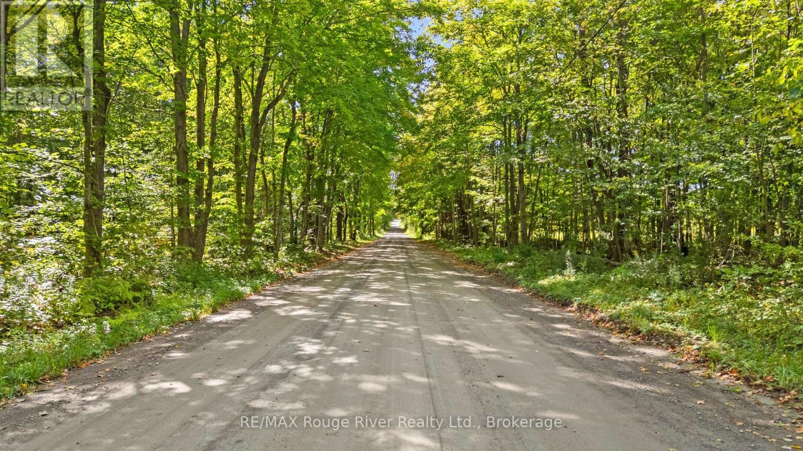 1321 Crowe River Road N, Trent Hills, Ontario  K0L 1L0 - Photo 1 - X13796288