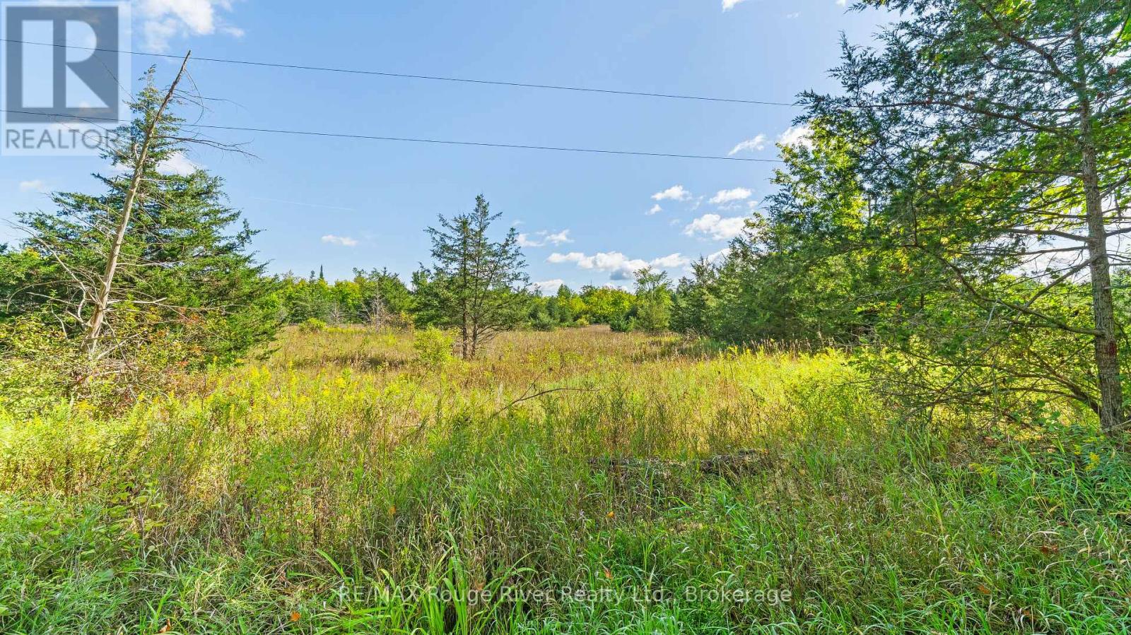 1321 Crowe River Road N, Trent Hills, Ontario  K0L 1L0 - Photo 11 - X13796288